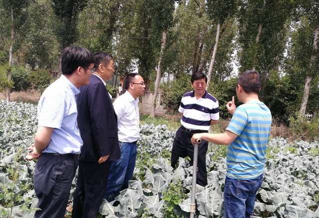 超大 超大現代農業 超大現代農業集團