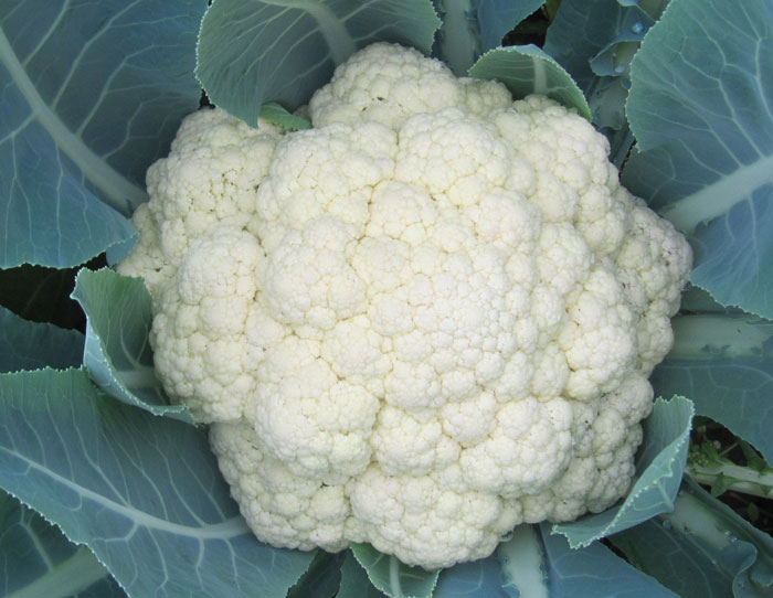 超大 超大現(xiàn)代農(nóng)業(yè) 超大現(xiàn)代農(nóng)業(yè)集團(tuán) 超大 超大現(xiàn)代農(nóng)業(yè) 超大現(xiàn)代農(nóng)業(yè)集團(tuán)