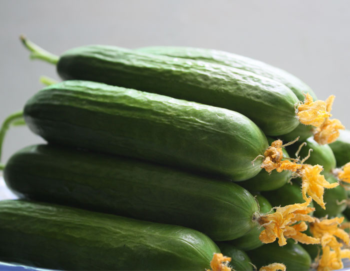 超大 超大現(xiàn)代農(nóng)業(yè) 超大現(xiàn)代農(nóng)業(yè)集團(tuán) 超大 超大現(xiàn)代農(nóng)業(yè) 超大現(xiàn)代農(nóng)業(yè)集團(tuán)