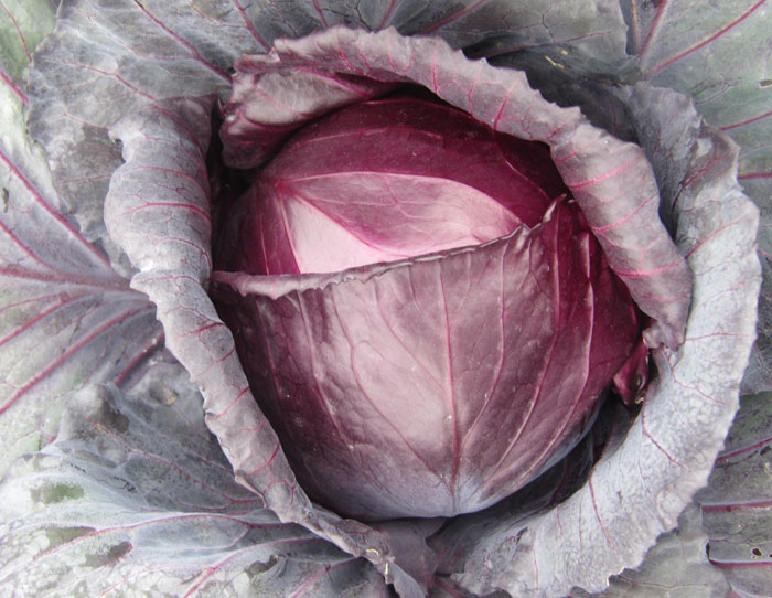 超大 超大現(xiàn)代農(nóng)業(yè) 超大現(xiàn)代農(nóng)業(yè)集團(tuán) 超大 超大現(xiàn)代農(nóng)業(yè) 超大現(xiàn)代農(nóng)業(yè)集團(tuán)