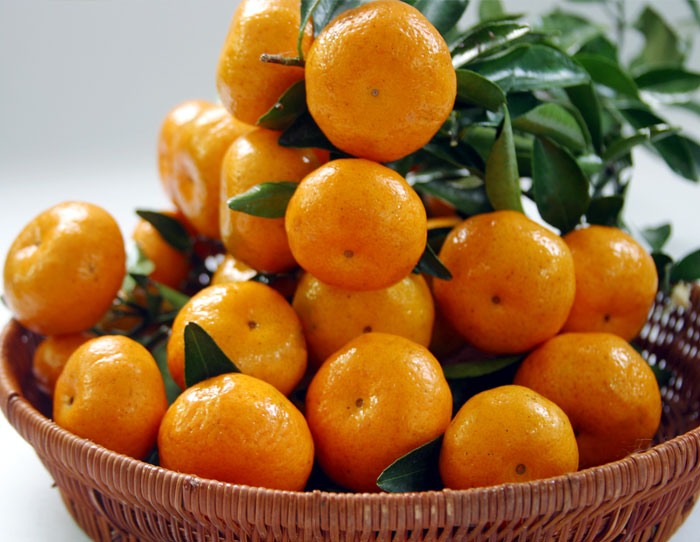 超大 超大現(xiàn)代農(nóng)業(yè) 超大現(xiàn)代農(nóng)業(yè)集團(tuán) 超大 超大現(xiàn)代農(nóng)業(yè) 超大現(xiàn)代農(nóng)業(yè)集團(tuán)