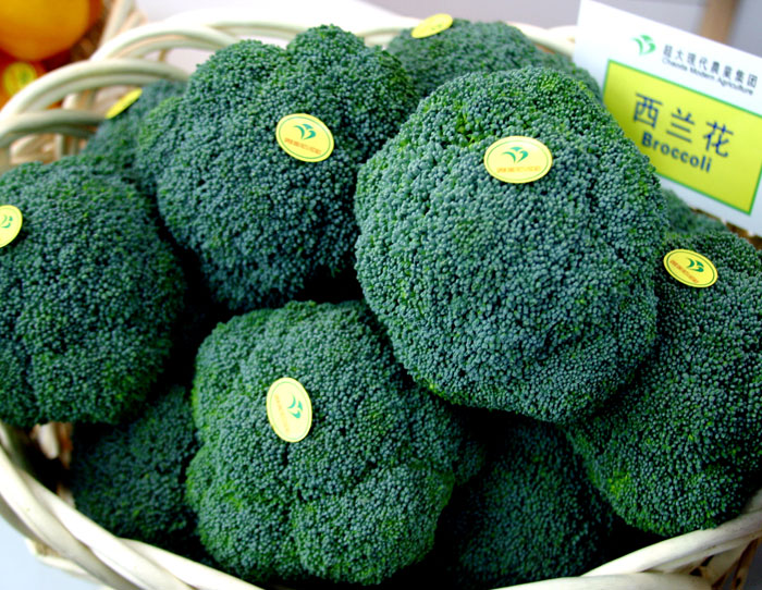 超大 超大現(xiàn)代農(nóng)業(yè) 超大現(xiàn)代農(nóng)業(yè)集團(tuán) 超大 超大現(xiàn)代農(nóng)業(yè) 超大現(xiàn)代農(nóng)業(yè)集團(tuán)