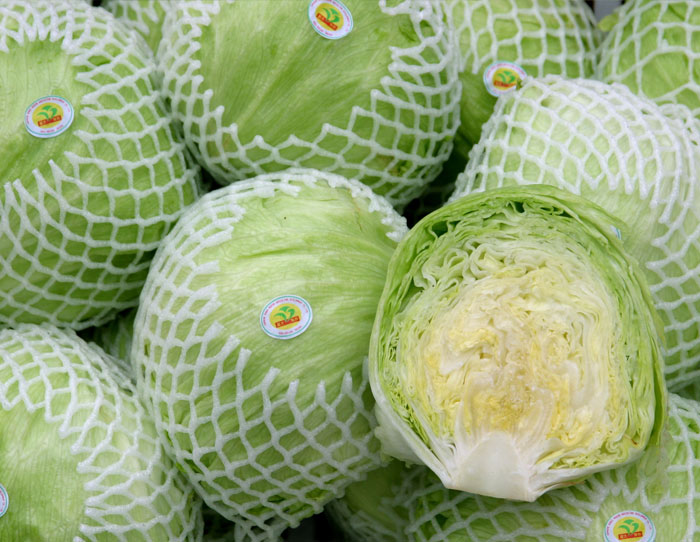 超大 超大現(xiàn)代農(nóng)業(yè) 超大現(xiàn)代農(nóng)業(yè)集團(tuán) 超大 超大現(xiàn)代農(nóng)業(yè) 超大現(xiàn)代農(nóng)業(yè)集團(tuán)