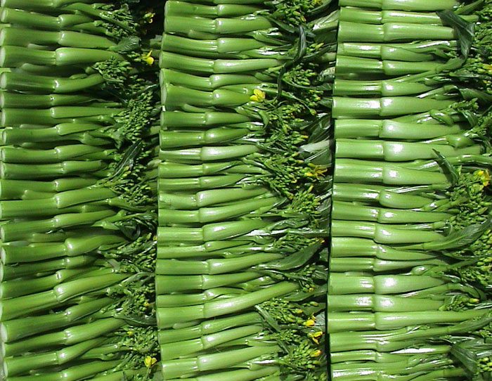 超大 超大現(xiàn)代農(nóng)業(yè) 超大現(xiàn)代農(nóng)業(yè)集團(tuán) 超大 超大現(xiàn)代農(nóng)業(yè) 超大現(xiàn)代農(nóng)業(yè)集團(tuán)