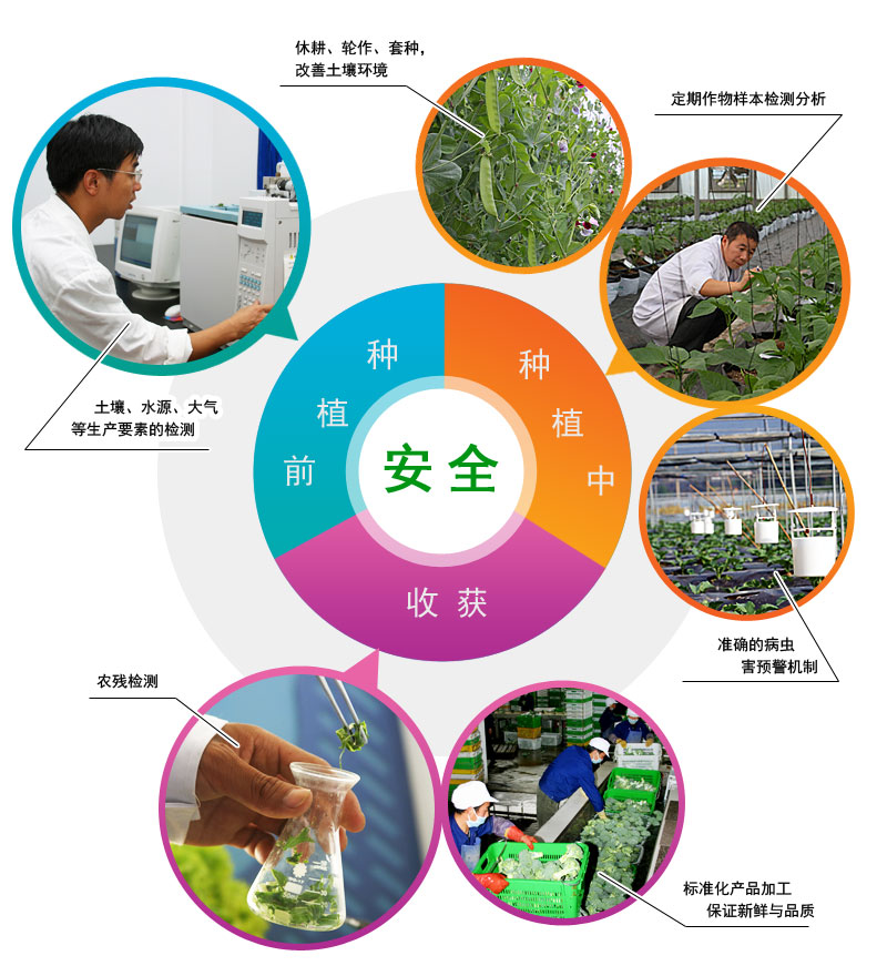 圖片關鍵詞 圖片關鍵詞