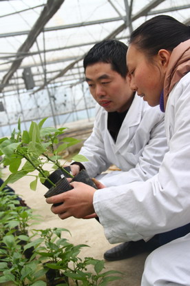 圖片關鍵詞 圖片關鍵詞