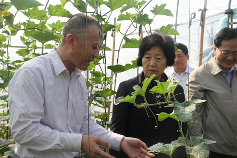 圖片關(guān)鍵詞 圖片關(guān)鍵詞