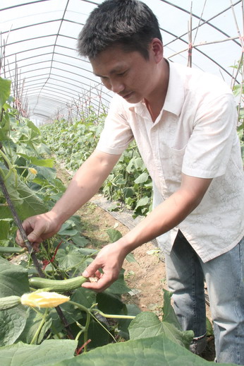 圖片關鍵詞 圖片關鍵詞