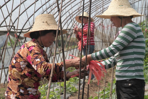 圖片關鍵詞 圖片關鍵詞