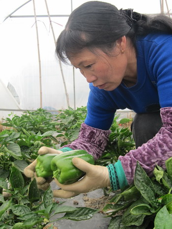 圖片關鍵詞 圖片關鍵詞
