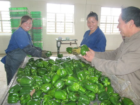 圖片關鍵詞 圖片關鍵詞