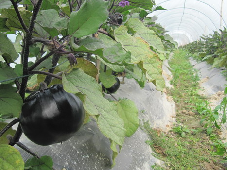 圖片關鍵詞 圖片關鍵詞