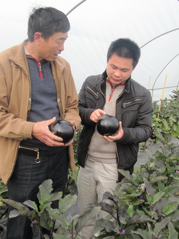 圖片關鍵詞 圖片關鍵詞