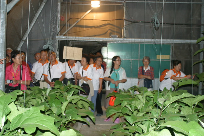 超大 超大現代農業 超大現代農業集團