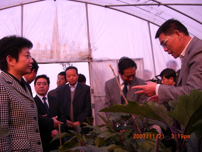 超大 超大現代農業 超大現代農業集團 超大 超大現代農業 超大現代農業集團