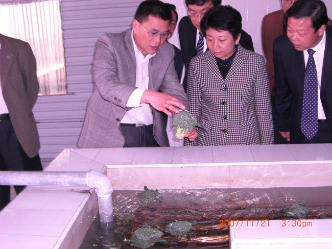 超大 超大現代農業 超大現代農業集團 超大 超大現代農業 超大現代農業集團