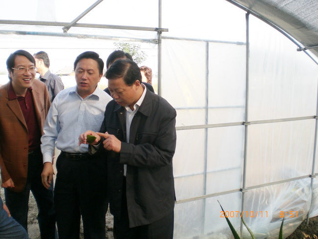 超大 超大現代農業 超大現代農業集團