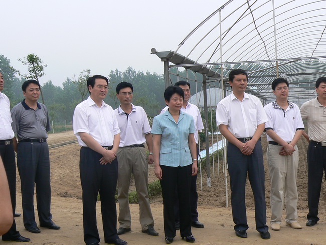 超大 超大現代農業 超大現代農業集團