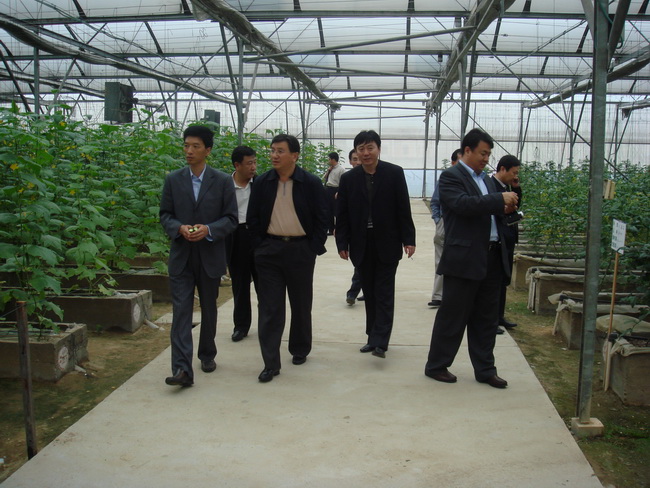 超大 超大現代農業 超大現代農業集團 超大 超大現代農業 超大現代農業集團