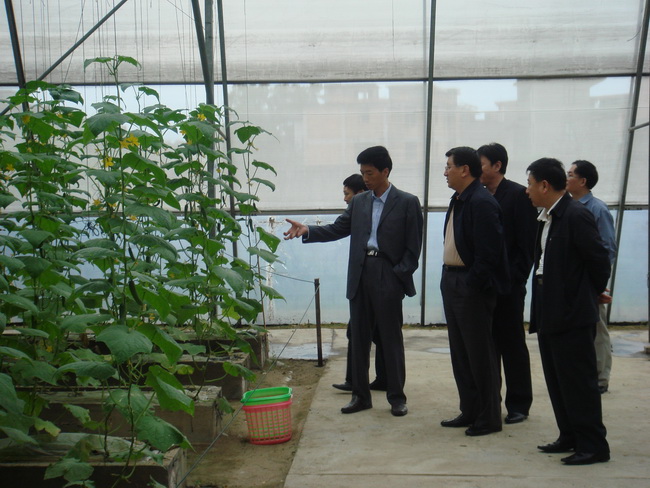 超大 超大現代農業 超大現代農業集團 超大 超大現代農業 超大現代農業集團