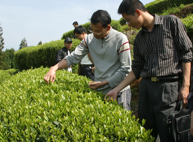 超大 超大現代農業 超大現代農業集團 超大 超大現代農業 超大現代農業集團