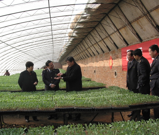 超大 超大現代農業 超大現代農業集團