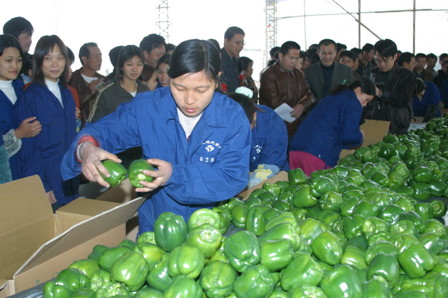 1534469078194675.jpg 圖片關(guān)鍵詞