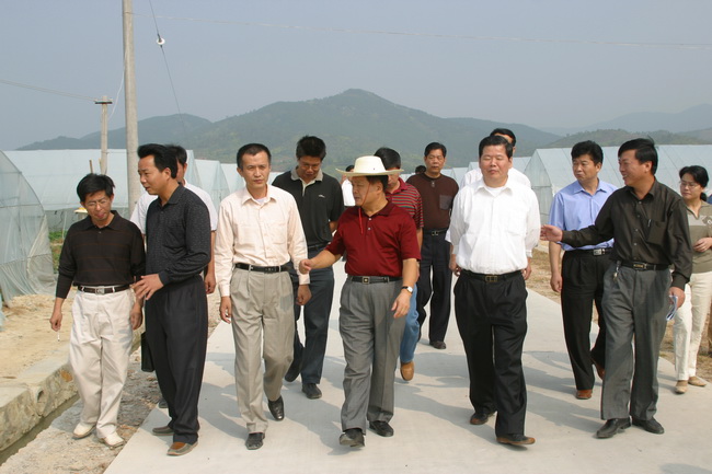 超大 超大現代農業 超大現代農業集團