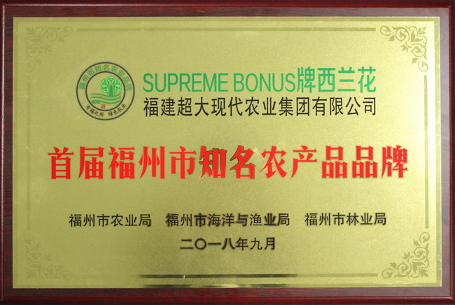 超大 超大現代農業 超大現代農業集團