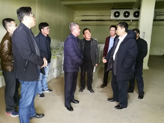 超大 超大現代農業 超大現代農業集團