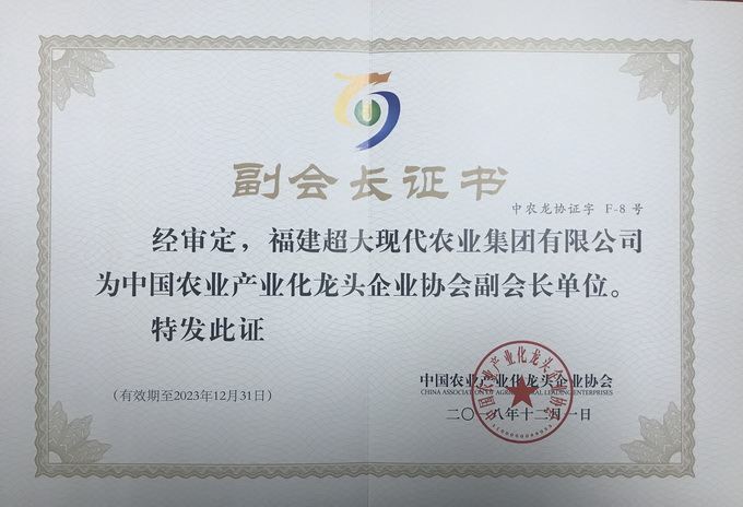 超大 超大現代農業 超大現代農業集團