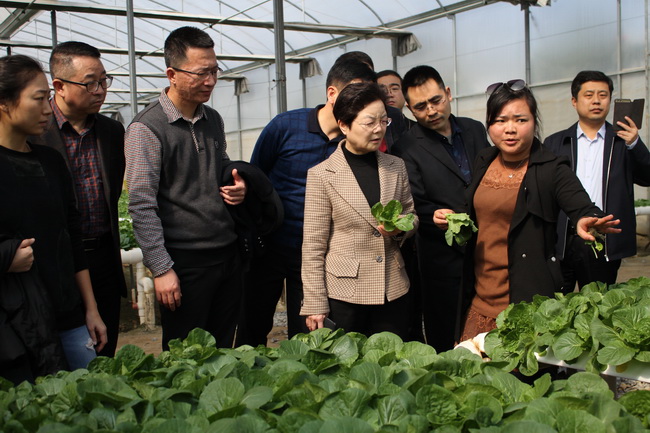 超大 超大現代農業 超大現代農業集團