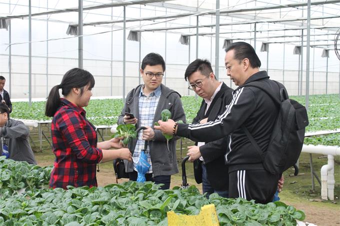 超大 超大現代農業 超大現代農業集團