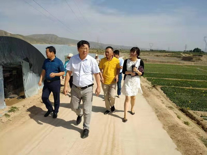 超大 超大現代農業 超大現代農業集團