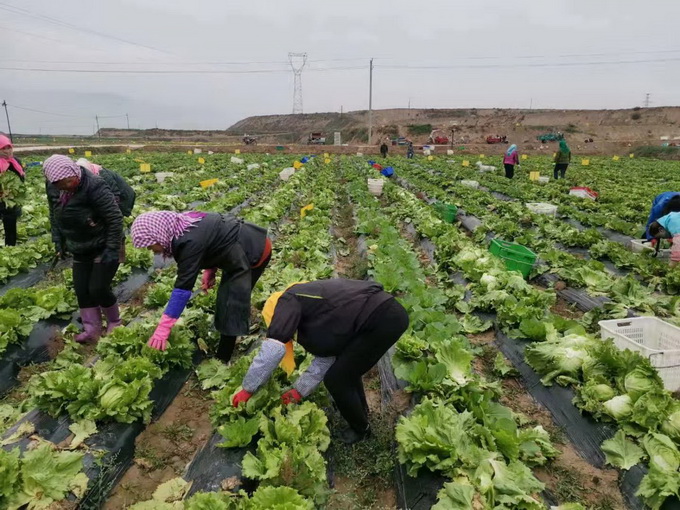 超大 超大現代農業 超大現代農業集團 超大 超大現代農業 超大現代農業集團