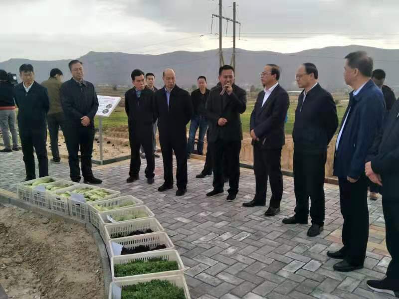 超大 超大現代農業(yè) 超大現代農業(yè)集團 超大 超大現代農業(yè) 超大現代農業(yè)集團