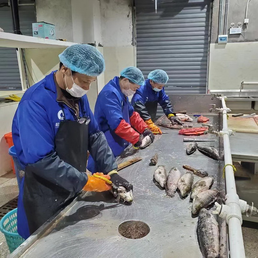 超大 超大現代農業 超大現代農業集團