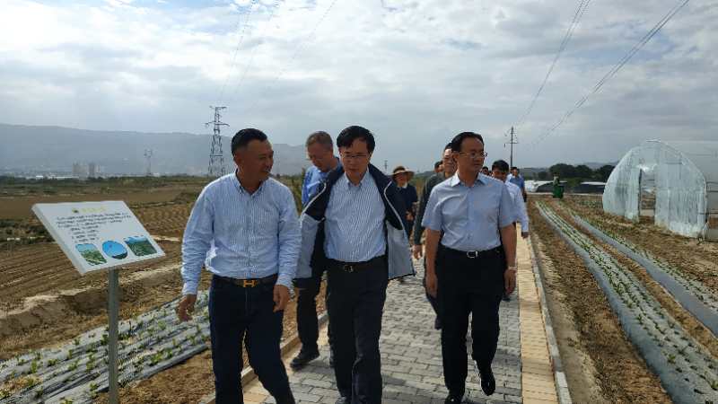 超大 超大現代農業 超大現代農業集團