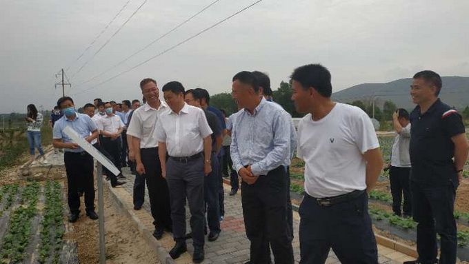 超大 超大現代農業 超大現代農業集團 超大 超大現代農業 超大現代農業集團