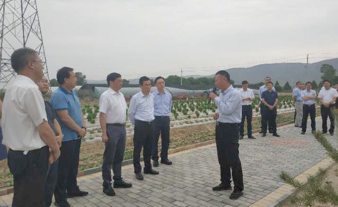 超大 超大現代農業 超大現代農業集團 超大 超大現代農業 超大現代農業集團