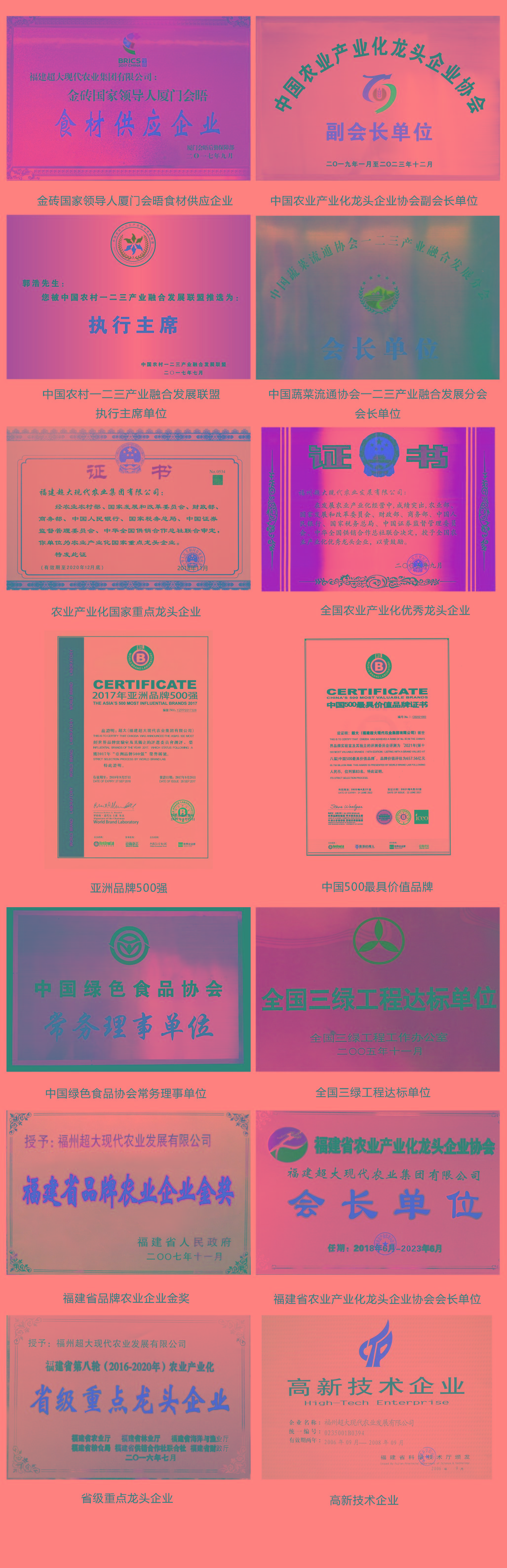 超大 超大現(xiàn)代農(nóng)業(yè) 超大現(xiàn)代農(nóng)業(yè)集團